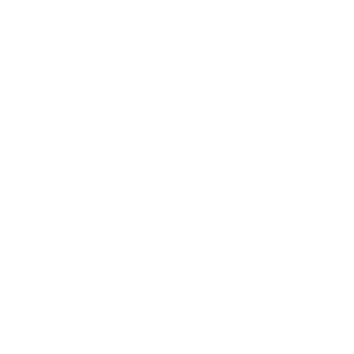 Pet Preventative Care Icon